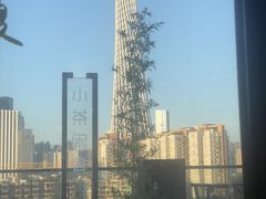 -小茶闲舍·观景商务茶馆(广州塔店)