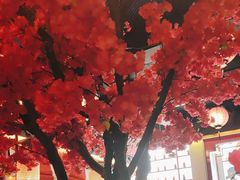 -探花·意境江南菜·唐伯虎文化体验店·松鼠桂鱼(观前店)