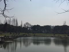 -上海植物园·停车场