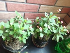 -复兴门(地铁站)