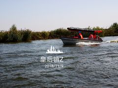 -白洋淀景区