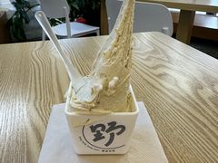 -野人先生Gelato(上海长宁龙之梦店)
