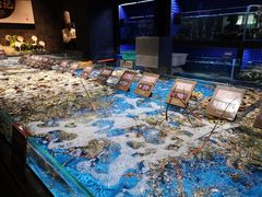 -徐记海鲜(观沙岭|滨江新城店)