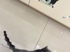 -全心全意连锁动物医院·微创中心·内科急重症·心脏专科(丰管路店)
