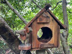 -华侨城湿地公园