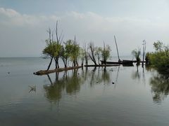 -洱海月湿地公园