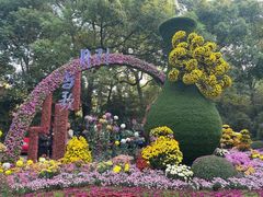 -杭州植物园