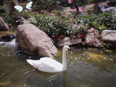 -罗红摄影艺术馆