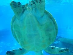 -福州罗源湾海洋世界旅游区