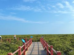 -北海金海湾红树林生态旅游区