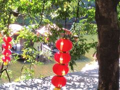 -侨美·唐荔园·40年地道粤菜