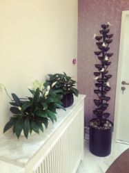 点击看大图 -UP&UP·半永久眉毛眼线机器野生眉