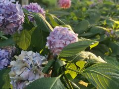 -常州古运河南大街文化旅游区-人民公园