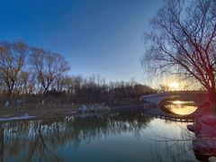 -大兴滨河森林公园