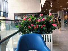 -深圳市人才园(深南大道店)