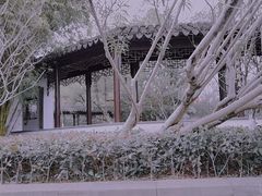 -月湖公园