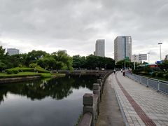 -月湖公园