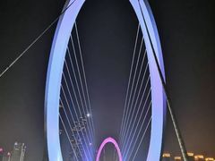 景点-南京眼步行桥