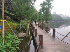 -重庆彩云湖湿地公园