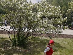 -长春公园(普阳街道)