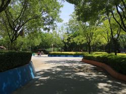 -酷酷兔少儿拓展天地