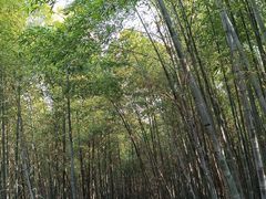 -南北湖风景区
