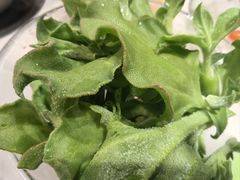 -一叶一世界•素食餐厅(新光天地店)