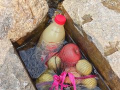 -马峦山郊野公园
