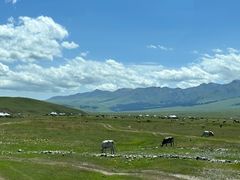-新疆那拉提国家旅游度假区