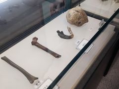 -辽宁古生物博物馆