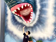 -海合安成都极地海洋公园