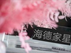 -上海德星奔驰(江杨南路店)