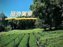 -野蔓果·山野菜(西湖景区·龙井茶田店)