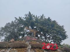 -自贡恐龙博物馆