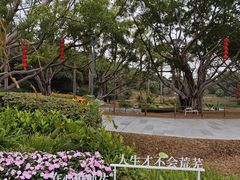 -云溪植物园