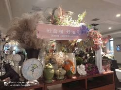 -安吉拉青春化管理中心