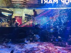 -凯德广场(学府店)