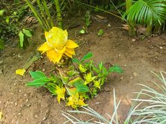 -北京植物园-展览温室