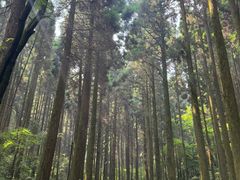 -上色见熊野座神社