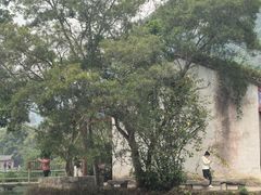 -靖西鹅泉风景区