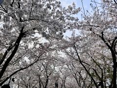 -龙美术馆(西岸馆)