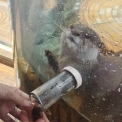 -Zoolung Zoolung动物主题公园(海信广场店)