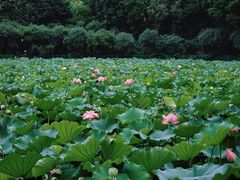 -黄兴公园