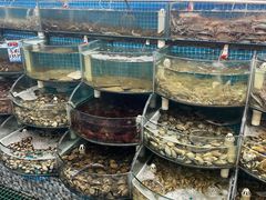 -仙螺岛海鲜自助餐厅(总店)