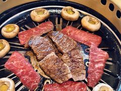 -炼火烤肉店