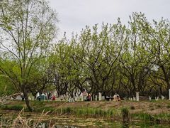 -西安世博园