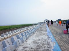 -南汇嘴观海公园