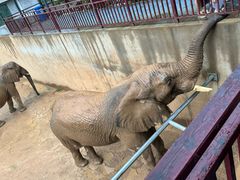 -西霞口神雕山野生动物世界