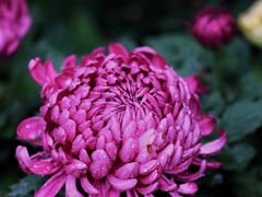 -共青国家森林公园-售票处