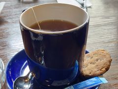 -blue frog蓝蛙(长泰广场店)